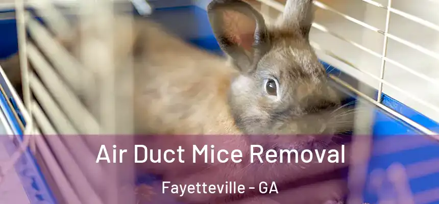  Air Duct Mice Removal Fayetteville - GA