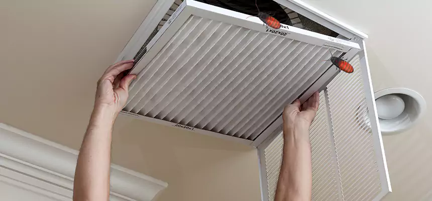 Our Insect Removal from Air Ducts Services in Fayetteville, GA