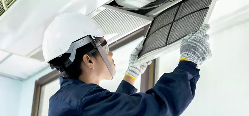 Our Mold & Mildew Removal from Air Ducts Services in Fayetteville, GA