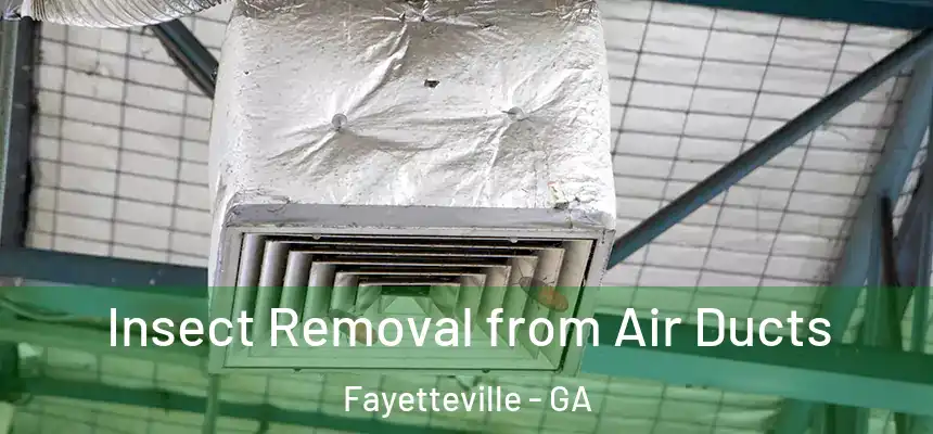  Insect Removal from Air Ducts Fayetteville - GA