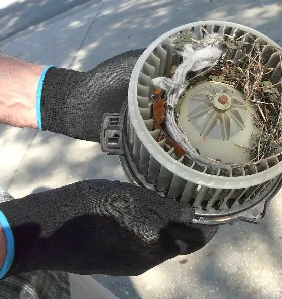 About Air Duct Mice Removal in Fayetteville, GA