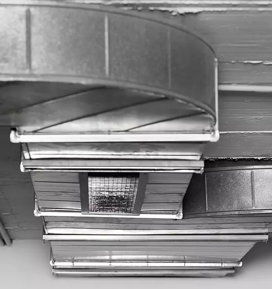 Professional Air Duct Pest Removal in Fayetteville, GA