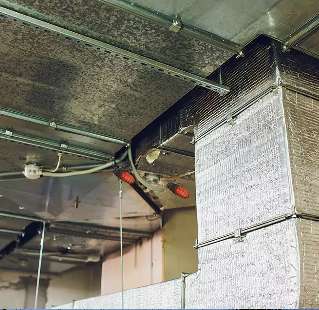 Why Homeowners & Businesses Trust Us in Fayetteville, GA?